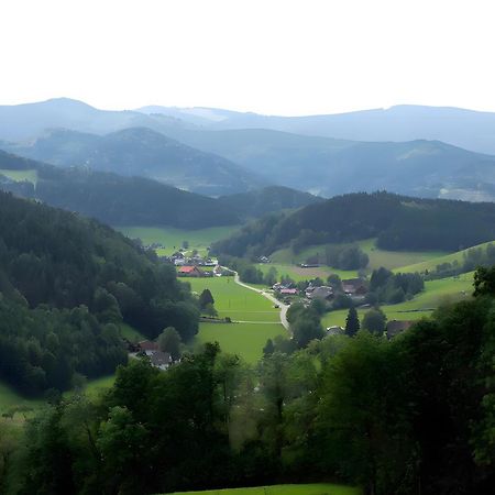 Ruhige Schwarzwald Ferienwohnung Buchenbach  Esterno foto