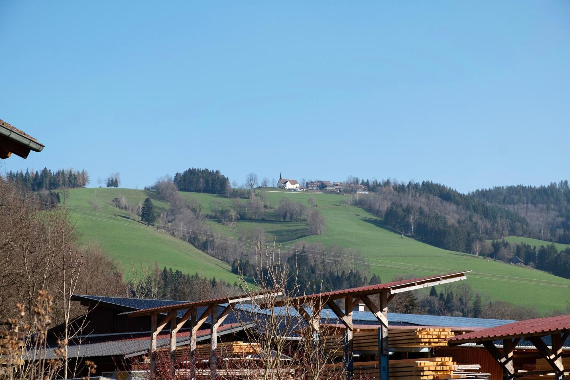 Ruhige Schwarzwald Ferienwohnung Buchenbach  Esterno foto