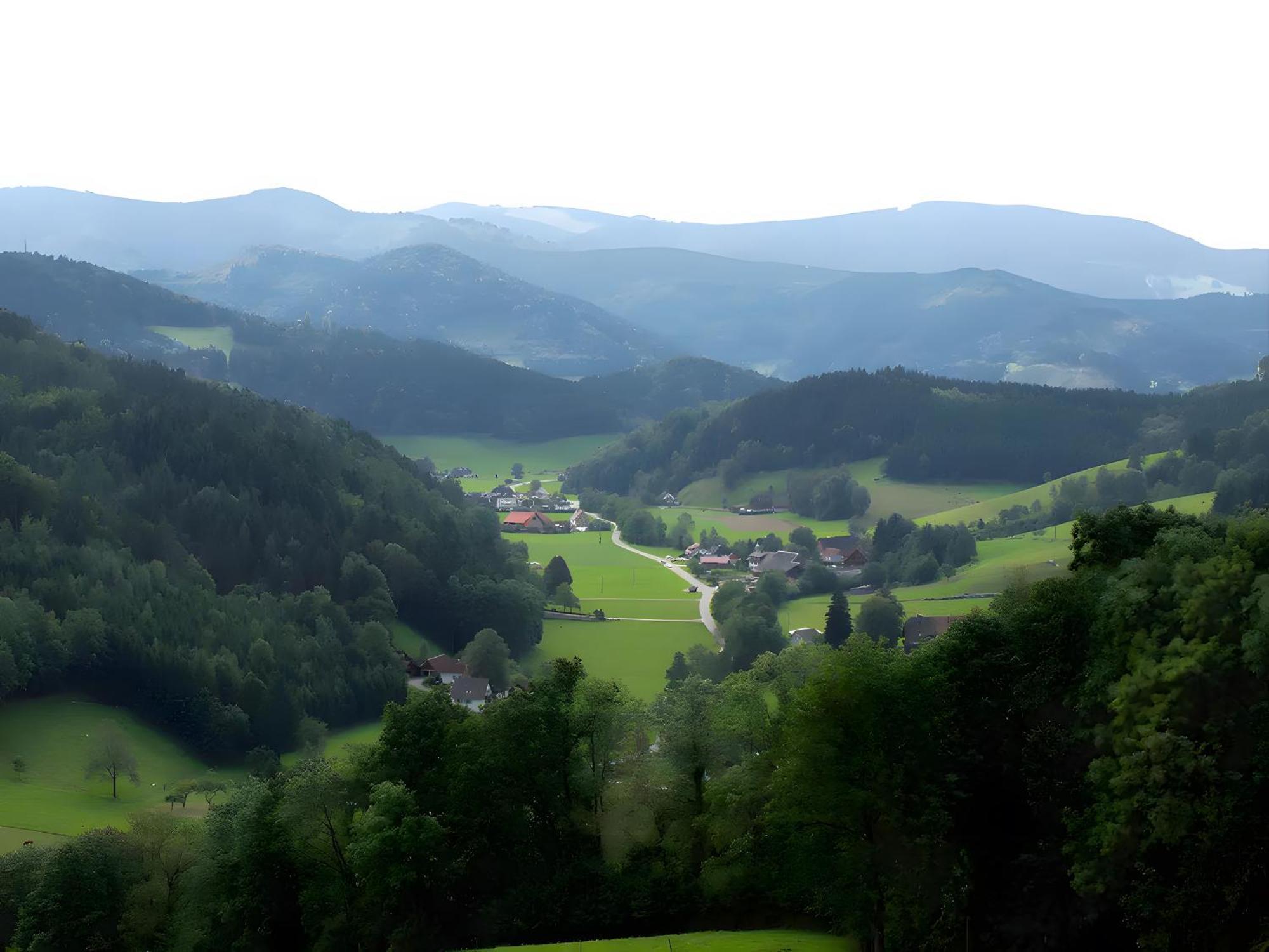Ruhige Schwarzwald Ferienwohnung Buchenbach  Esterno foto